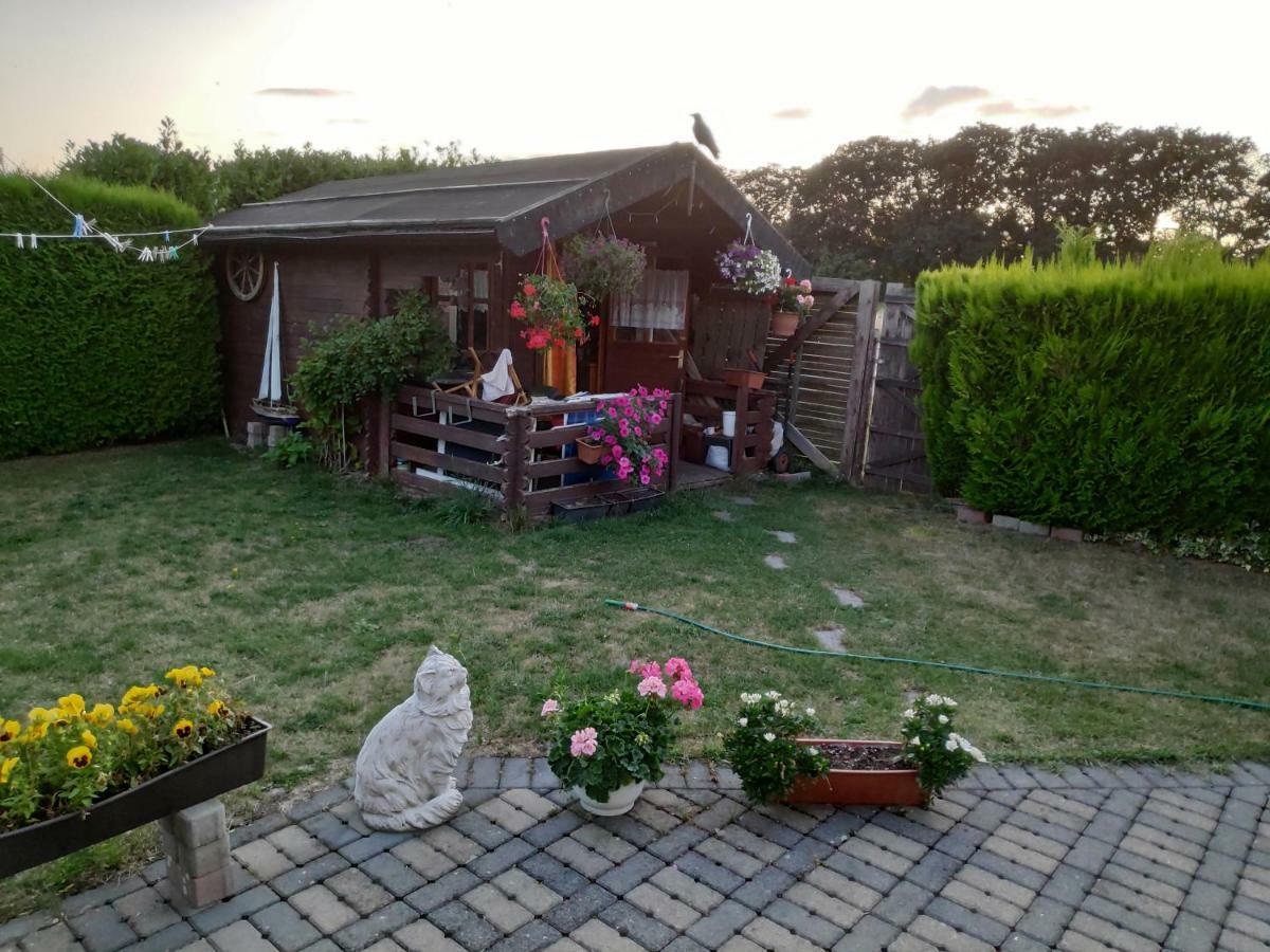 Inseldorf Wardt Homestay *